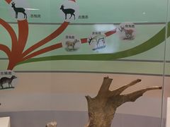 -北京麋鹿生态实验中心