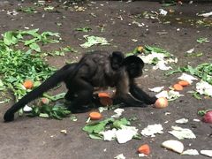 -石家庄市动物园