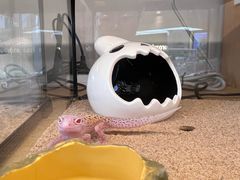 -首开·龙湖成都西宸天街