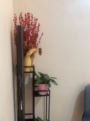-苑苑vbeauty科技美容SPA