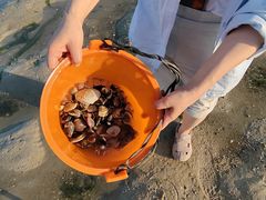 -北海金海湾红树林生态旅游区