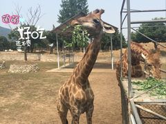 -西安秦岭野生动物园