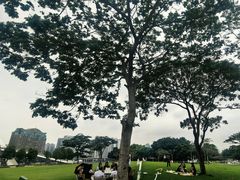 -二沙岛艺术公园