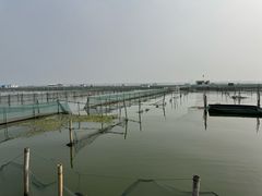 -阳澄湖半岛旅游度假区
