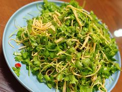 凉拌芹菜苗-72号海鲜私房菜