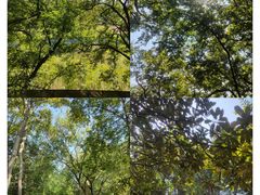 -幕燕滨江·燕子矶公园