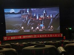 -万达影城(汉街万达广场IMAX店)