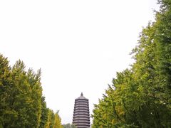 -玲珑塔公园