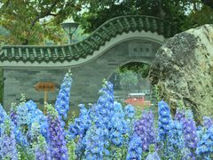 -荔湾湖公园
