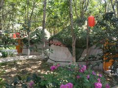 -草根堂农场