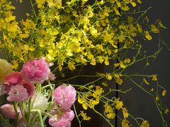 -春暖花开(西溪店)