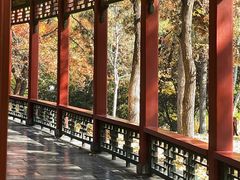 -晋祠公园