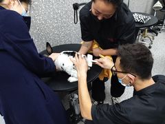 -宠物家(角门东店)