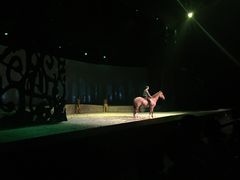 -cavalia·舞马