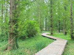 -国家植物园南园