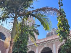 -香港大学