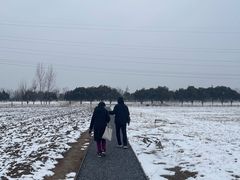 -汉长安城未央宫国家考古遗址公园