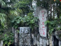 -广州市流溪河国家森林公园