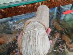 -QQ海鲜餐厅