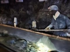 -大同煤炭博物馆