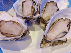 -千岛蚝高压锅生蚝·人参火锅(白云万达店)