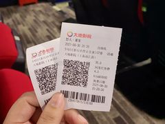 -大地影院(上海南汇店)