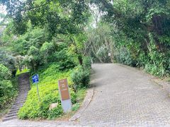 -滴水岩森林公园