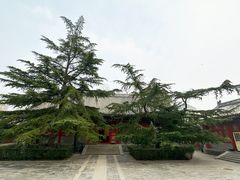 -北京艺术博物馆(万寿寺)