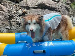 -安吉龙王山峡谷漂流