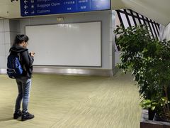 -尼诺伊·阿基诺国际机场T1航站楼