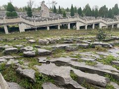 -原山国家森林公园