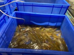 -长沙富力万达文华酒店