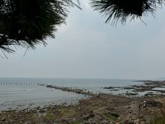 -八大关景区