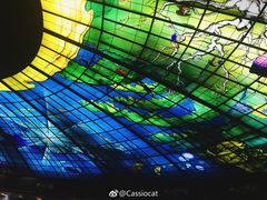 -捷运美丽岛站(The Dome of Light)