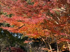 -狼山风景名胜区