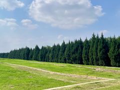 -汉长安城未央宫国家考古遗址公园