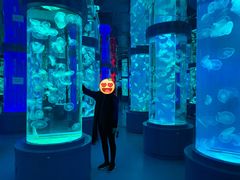 -石林冰雪海洋世界