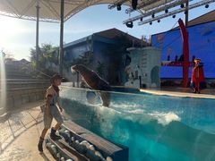 -三亚海昌梦幻海洋不夜城