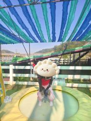 -阿菠萝小猪农场·萌宠乐园·亲子游·研学