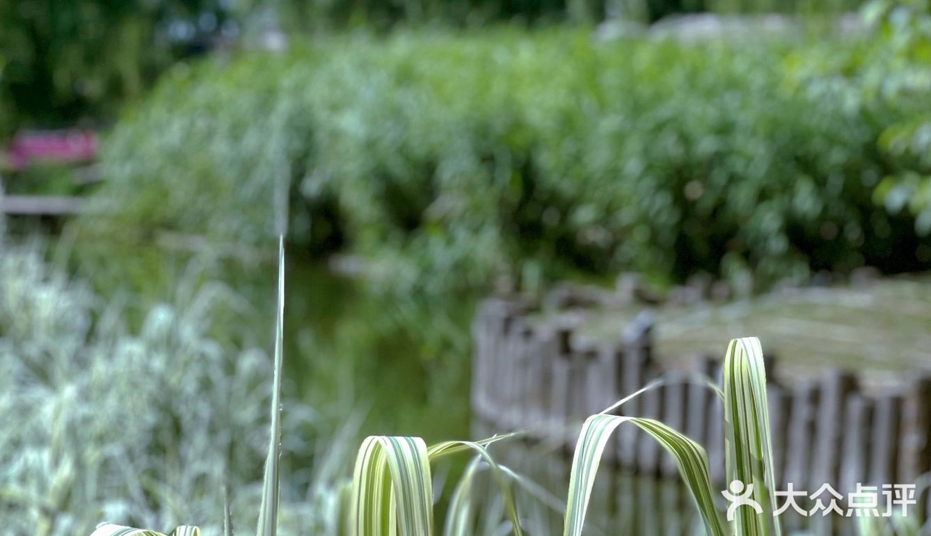 抬头见喜[爱心]帝都文艺又好喝的咖啡店☕️