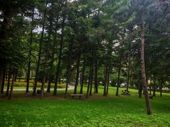 -吉林大学(前卫南区)