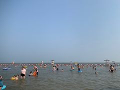 -碧海金沙