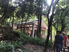 -火炉山森林公园
