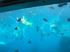 -瑞德姆美人鱼海底演艺主题餐厅(亚龙湾店)