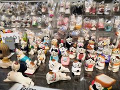 -猫咪博物馆(顶澳仔猫街店)