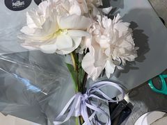 -植物学家的女儿(北马道巷店)