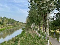 -东郊湿地公园