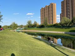 -坝河休闲公园