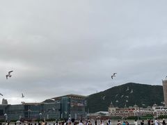 -星海广场