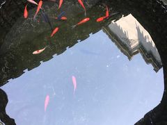 -不倒翁·徽天下名菜楼(马鞍山路店)